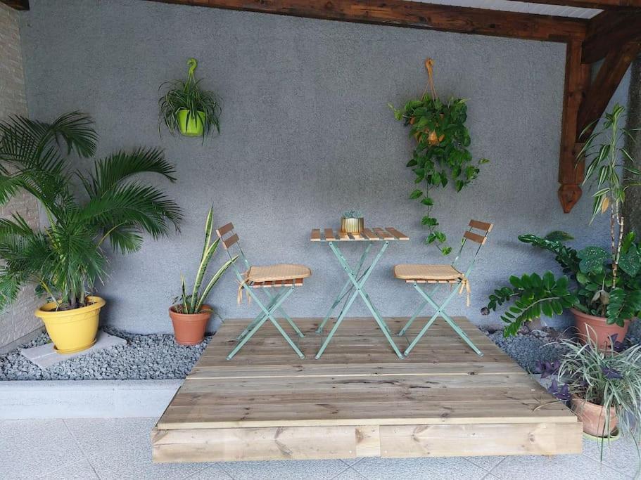 Ferienwohnung La Perle D'Alice Deshaies Exterior foto
